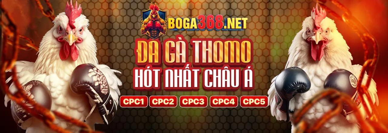 Quản lý tài chính khi chơi bắn cá
