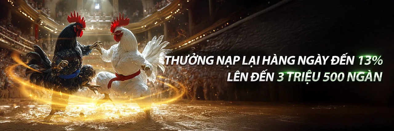 Sân đấu đá gà trực tuyến sôi động tại SGD777 link mới
